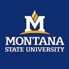 Montana State University, USA